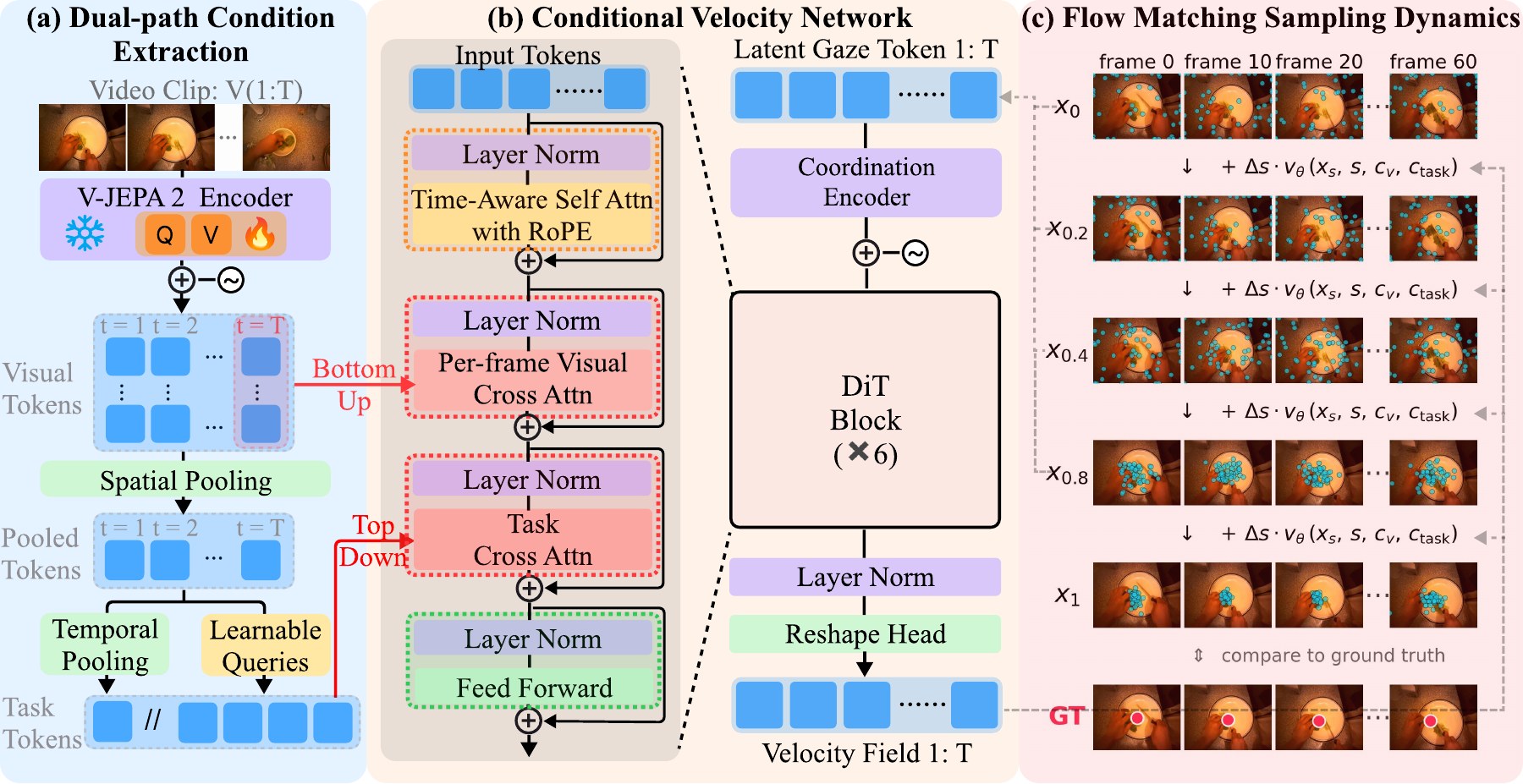 GazeFlow architecture: dual-path condition extraction, the conditional velocity network, and flow-matching sampling dynamics