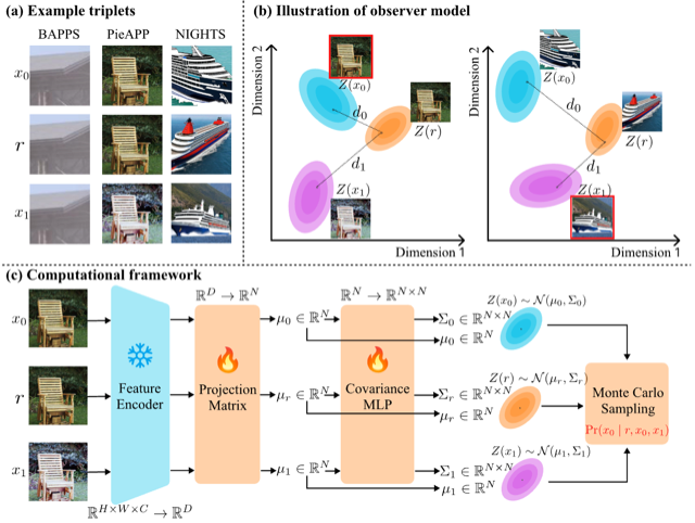 Multidimensional Observer Model